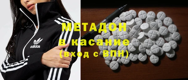 прущие грибы Надым
