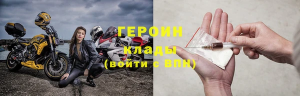 прущие грибы Надым