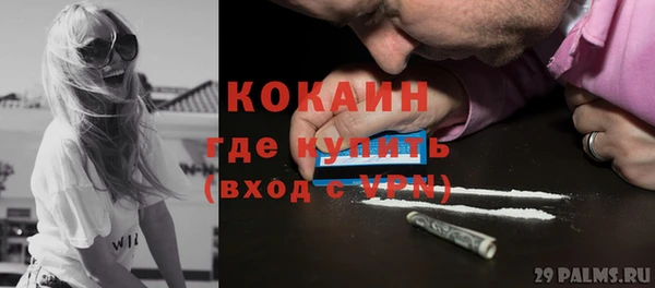 прущие грибы Надым