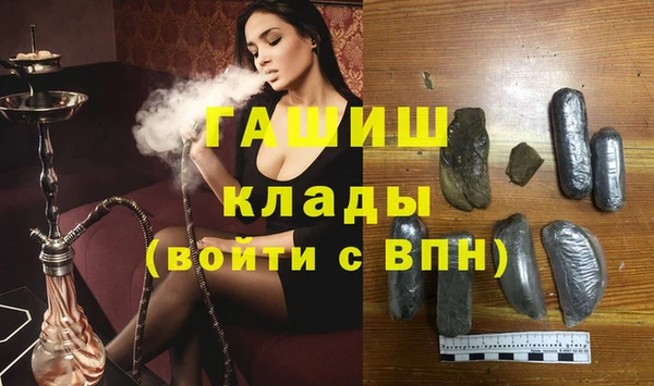 прущие грибы Надым