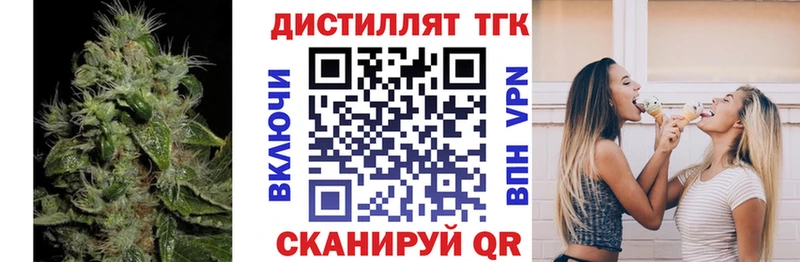 Купить где  Новоалександровск  ТГК концентрат 