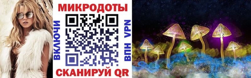 Галлюциногенные грибы прущие грибы  Купить закладки  Новоалександровск 